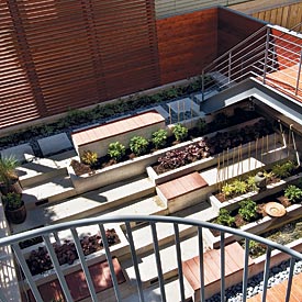 terraced back yard in chicago